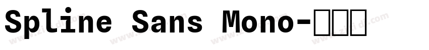 Spline Sans Mono字体转换